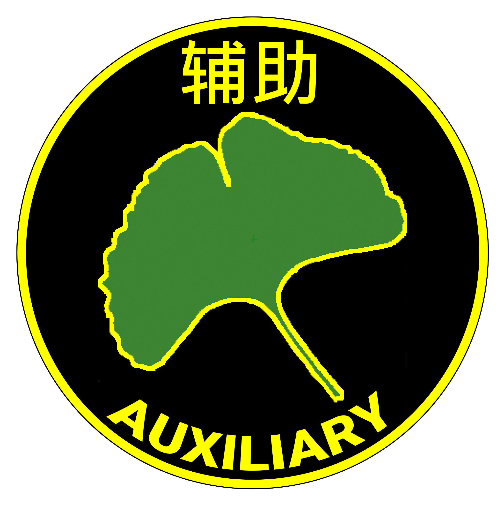 Auxiliary Patch.jpg